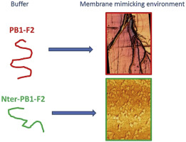Publication Article Scientifique 2016