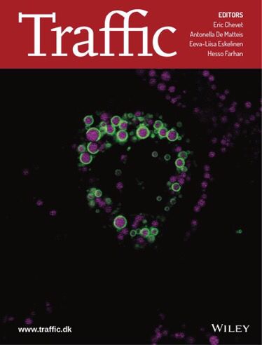 Publication Article Scientifique 2019